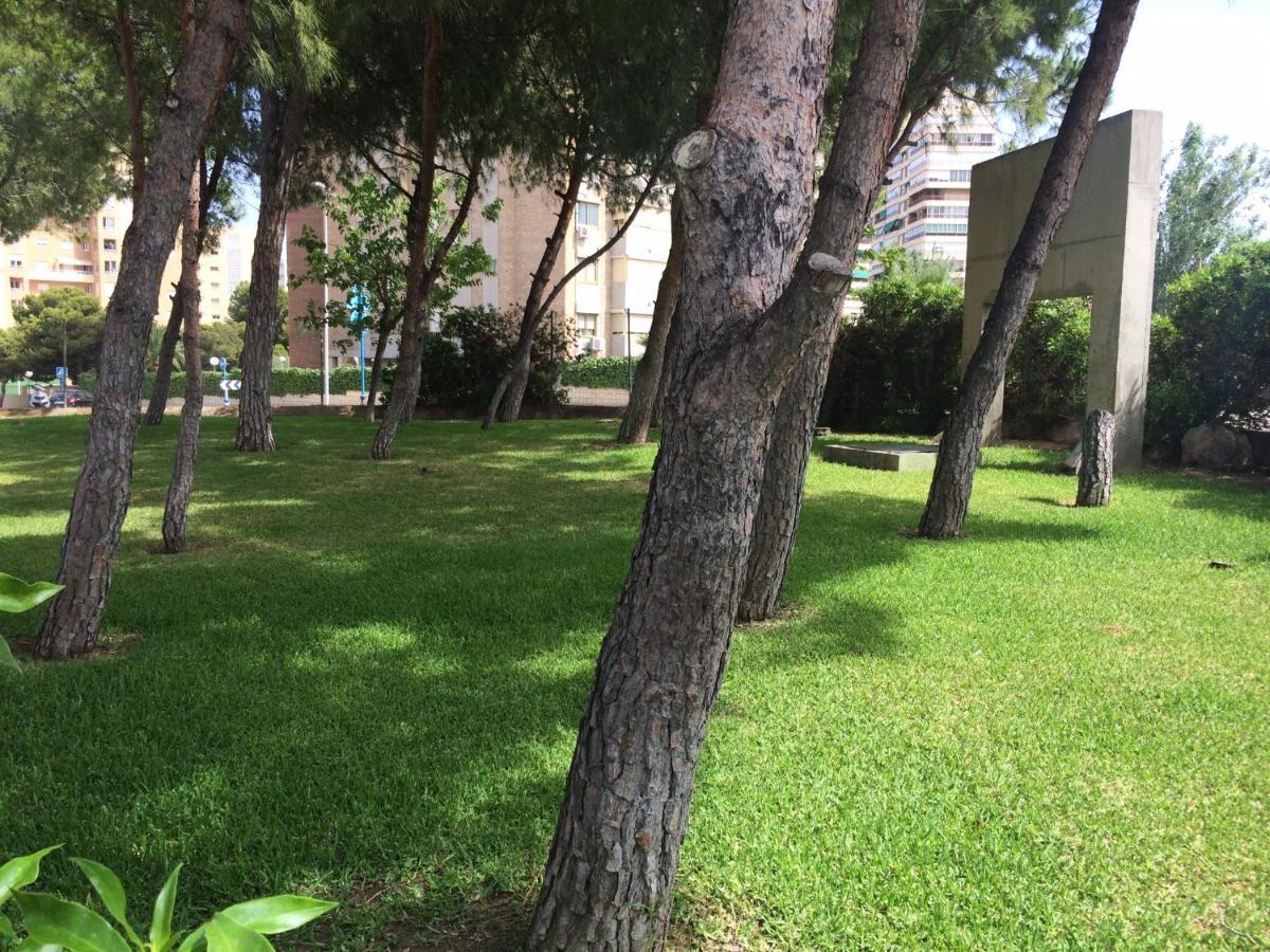 דירות אליקאנטה Club Del Mar L25 מראה חיצוני תמונה